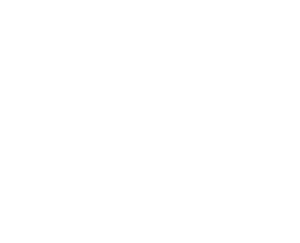 RAMwright Consulting Company LLC